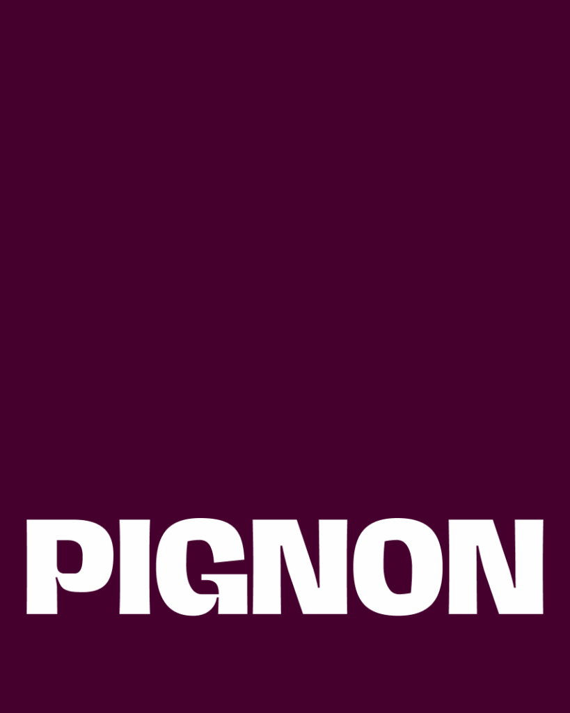 banner-projets-pignon