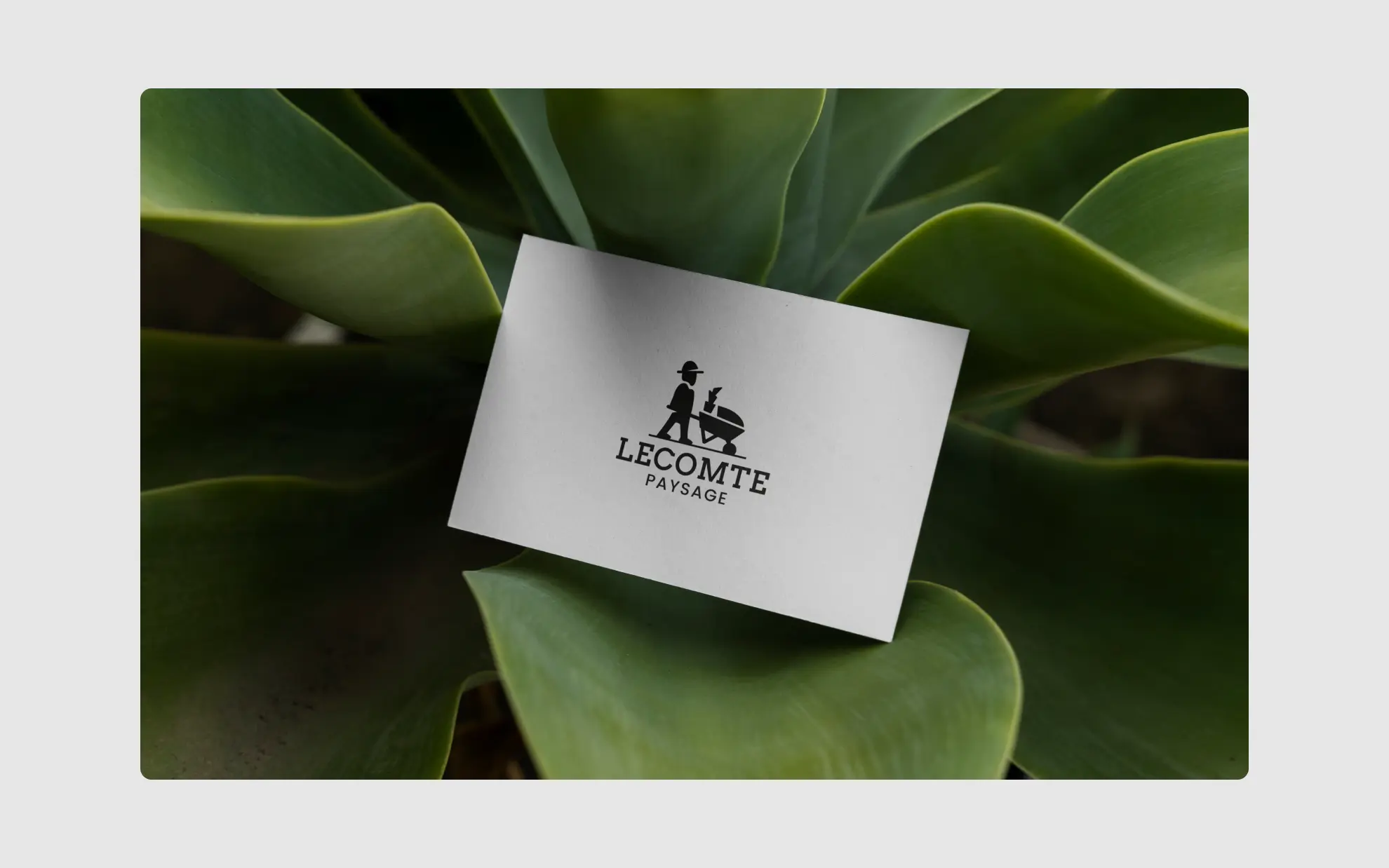projet-lecomte-paysage-image-5